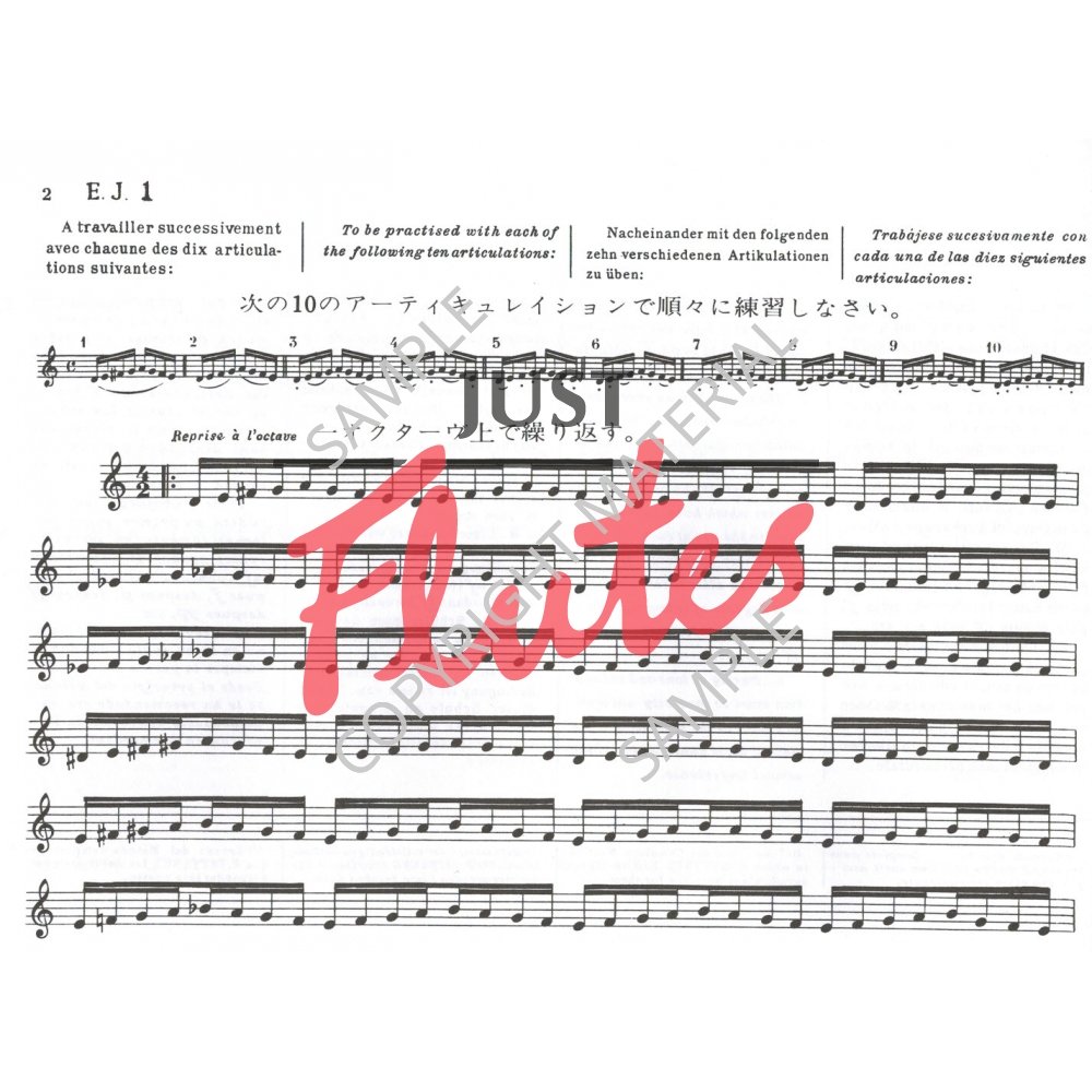 Paul Taffanel 17 Daily Exercises. Just Flutes, London